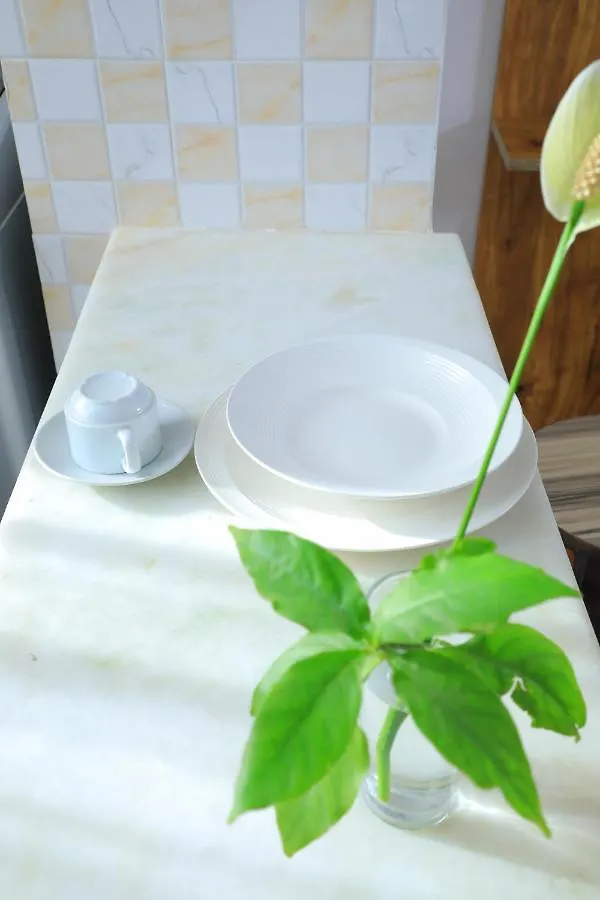 בית הארחה אדיס אבבה Victoria Hotel Apartment